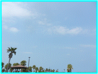 C:\Users\ushisako\Pictures\QOPQr[`ejX\ŤK\DSCN0691.JPG